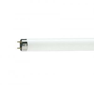 Лампа люм TL-D 58W/54-765 G13  PHILIPS