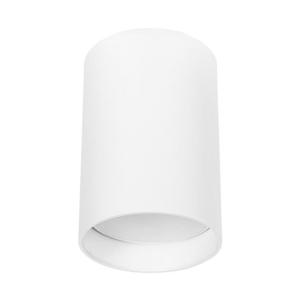 Накладной светильник A1517PL-1WH Arte Lamp