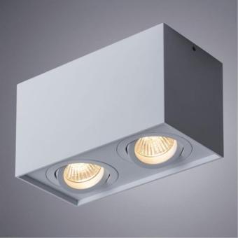 Накладной светильник A5544PL-2WH Arte Lamp