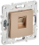 Розетка RJ45 кат.6 С/У Песочный Skandy