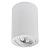 Накладной светильник Sentry A1566PL-1WH Arte Lamp