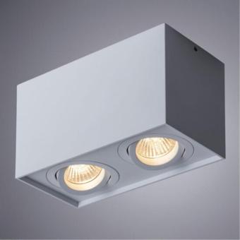 Накладной светильник A5544PL-2WH Arte Lamp